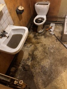 tarif nettoyage de diogène